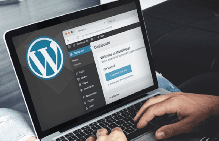 WordPress is best for Small and Medium Size Company
