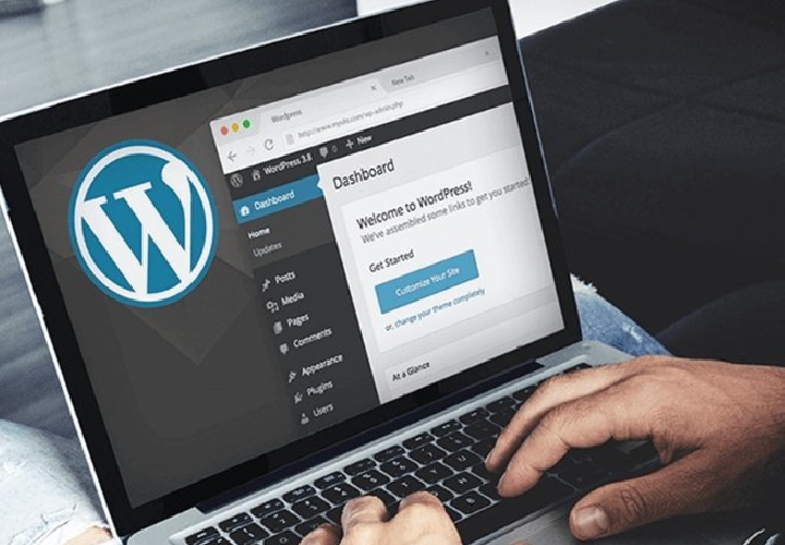 WordPress is best for Small and Medium Size Company